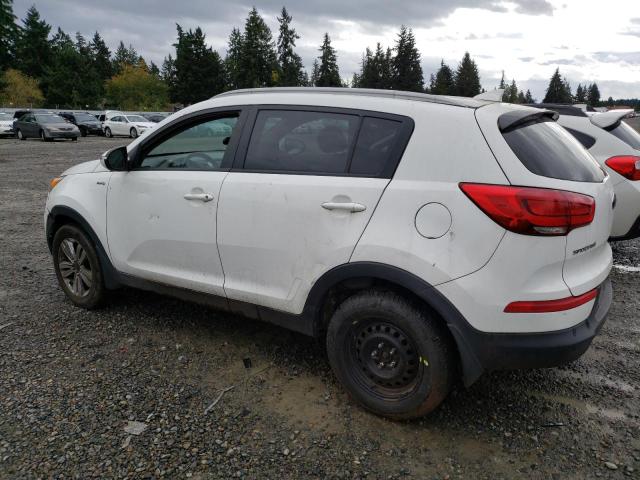 Photo 1 VIN: KNDPBCAC8E7547275 - KIA SPORTAGE 