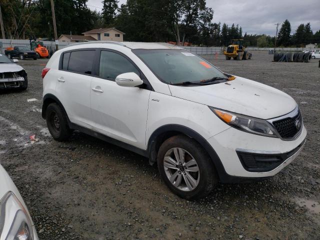 Photo 3 VIN: KNDPBCAC8E7547275 - KIA SPORTAGE 