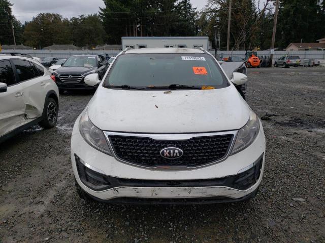 Photo 4 VIN: KNDPBCAC8E7547275 - KIA SPORTAGE 