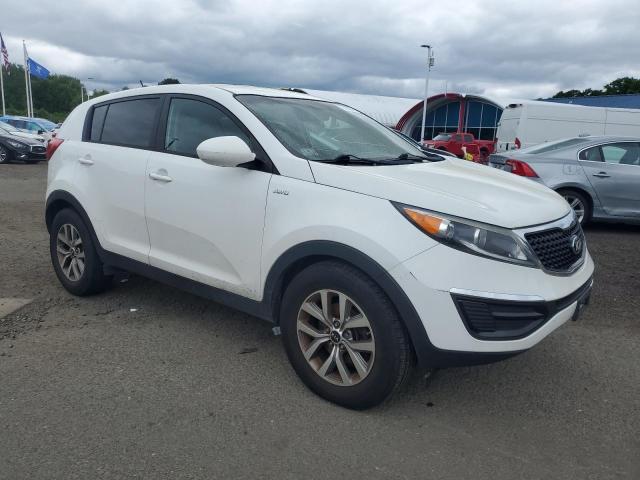 Photo 3 VIN: KNDPBCAC8E7559622 - KIA SPORTAGE 