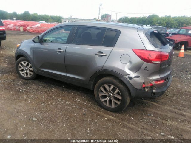 Photo 2 VIN: KNDPBCAC8G7802493 - KIA SPORTAGE 