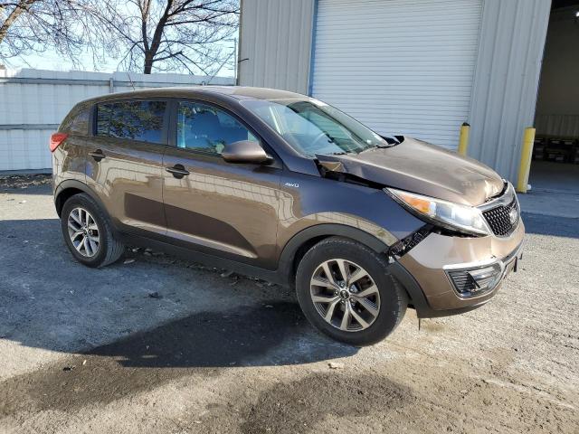 Photo 3 VIN: KNDPBCACXE7552378 - KIA SPORTAGE 