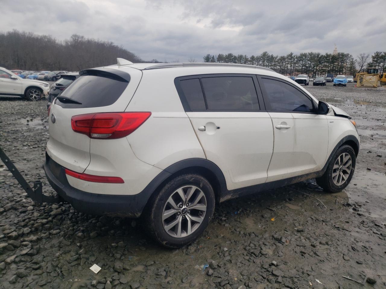 Photo 2 VIN: KNDPBCACXE7645496 - KIA SPORTAGE 