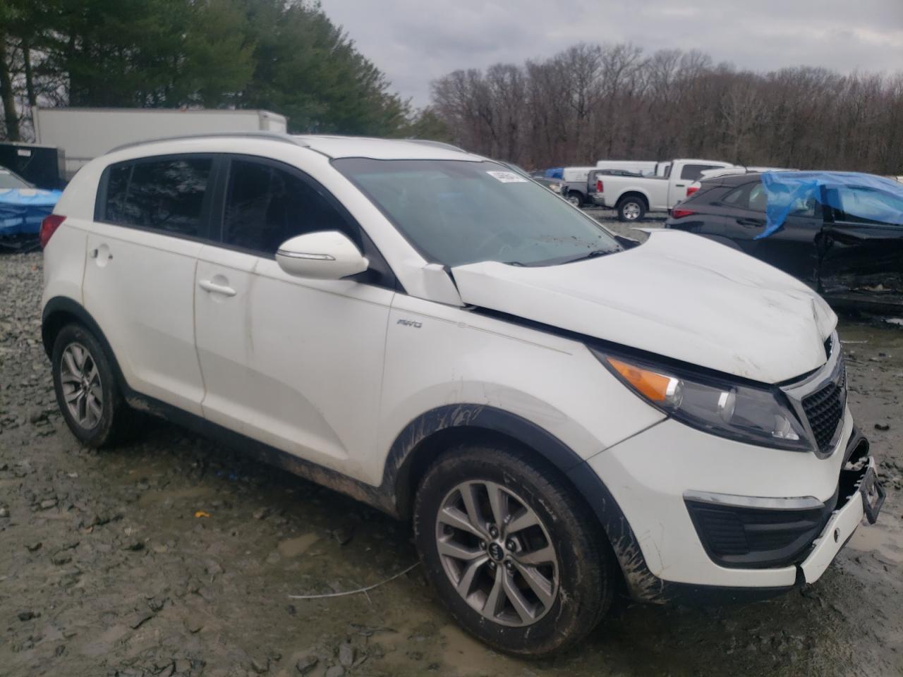 Photo 3 VIN: KNDPBCACXE7645496 - KIA SPORTAGE 