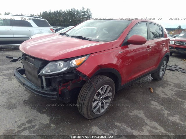 Photo 1 VIN: KNDPBCACXE7668129 - KIA SPORTAGE 