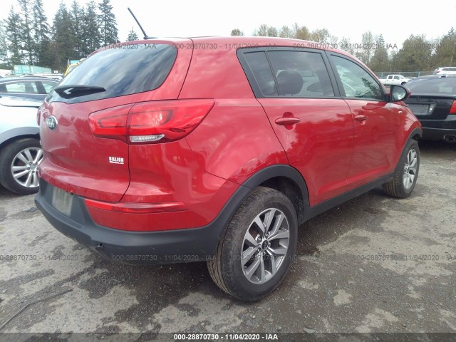 Photo 3 VIN: KNDPBCACXE7668129 - KIA SPORTAGE 