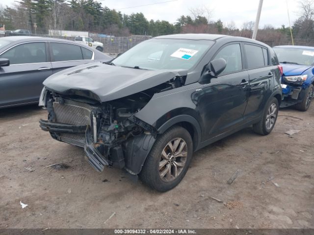 Photo 1 VIN: KNDPBCACXG7811728 - KIA SPORTAGE 