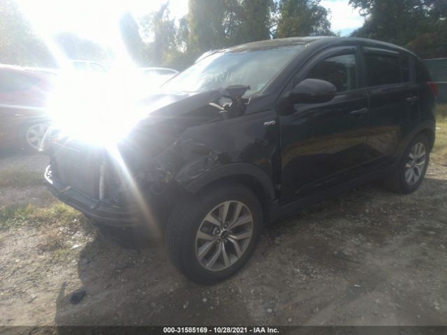 Photo 1 VIN: KNDPBCACXG7828982 - KIA SPORTAGE 