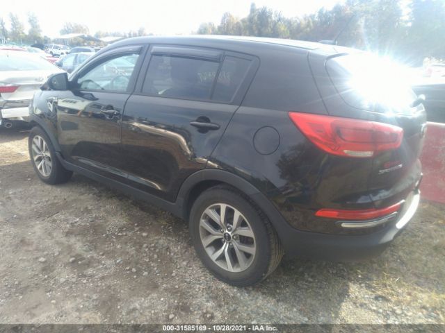 Photo 2 VIN: KNDPBCACXG7828982 - KIA SPORTAGE 