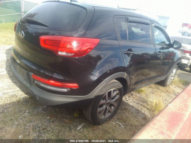 Photo 3 VIN: KNDPBCACXG7828982 - KIA SPORTAGE 