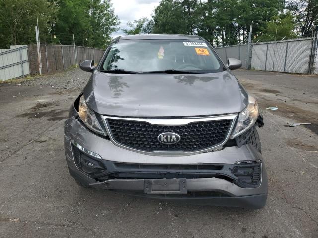 Photo 4 VIN: KNDPBCACXG7842218 - KIA SPORTAGE 