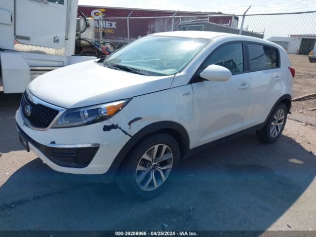 Photo 1 VIN: KNDPBCACXG7868298 - KIA SPORTAGE 