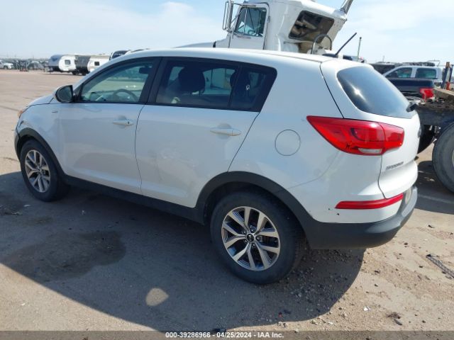 Photo 2 VIN: KNDPBCACXG7868298 - KIA SPORTAGE 