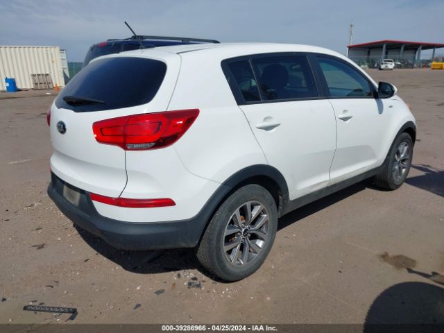 Photo 3 VIN: KNDPBCACXG7868298 - KIA SPORTAGE 