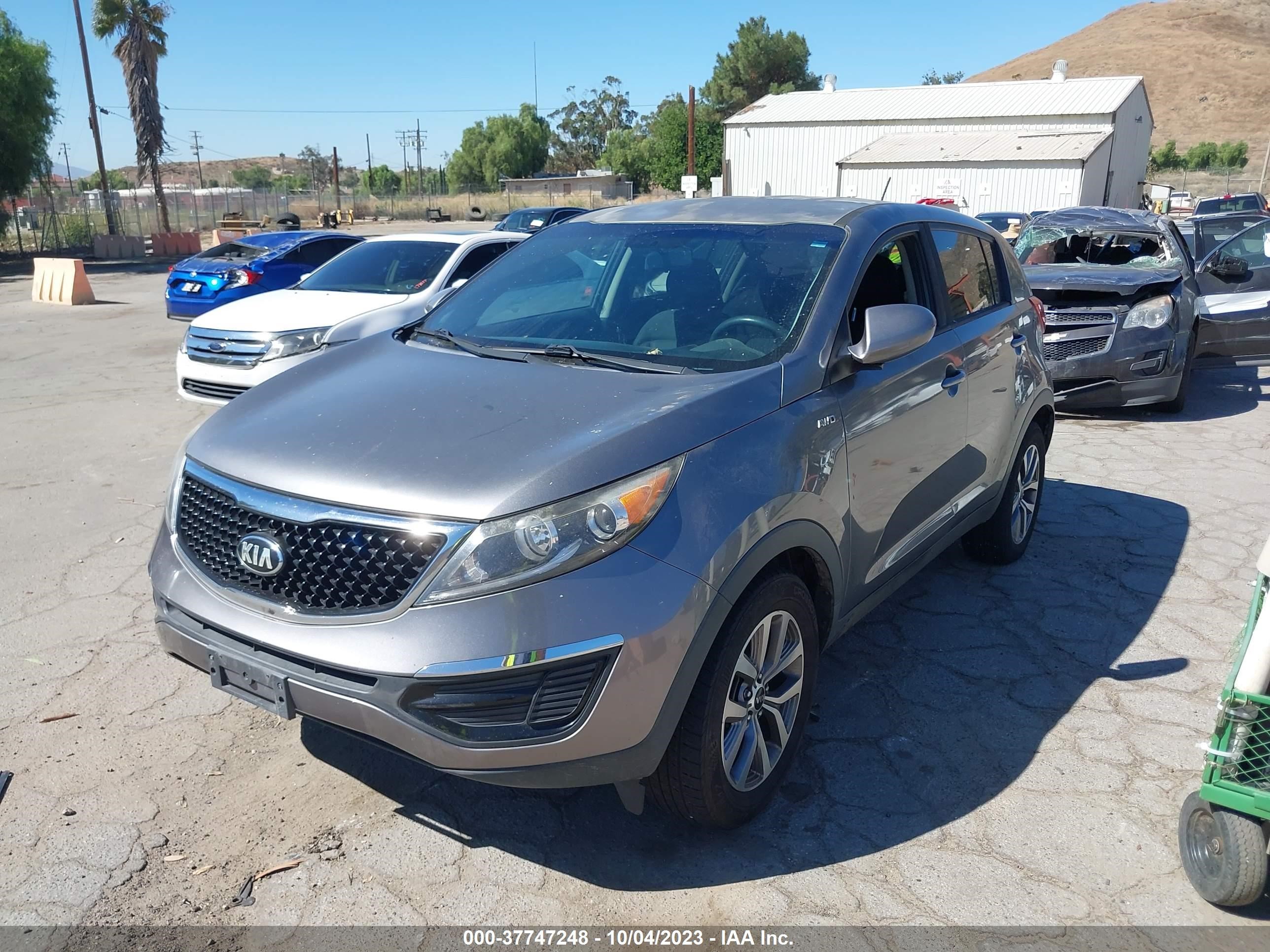 Photo 1 VIN: KNDPBCACXG7875512 - KIA SPORTAGE 