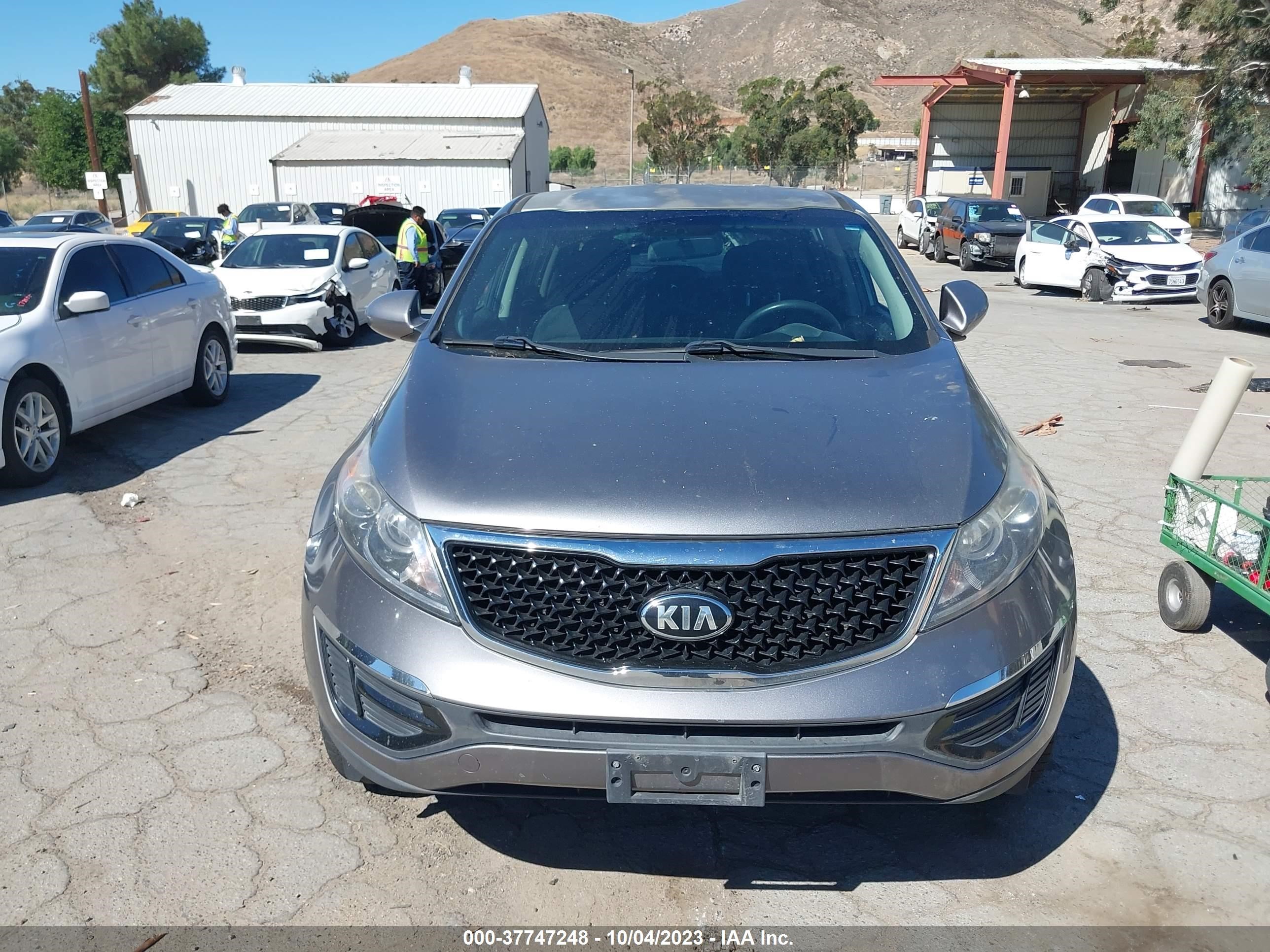 Photo 5 VIN: KNDPBCACXG7875512 - KIA SPORTAGE 