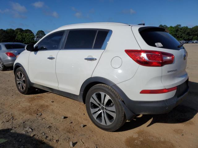 Photo 1 VIN: KNDPC3A23D7423207 - KIA SPORTAGE 