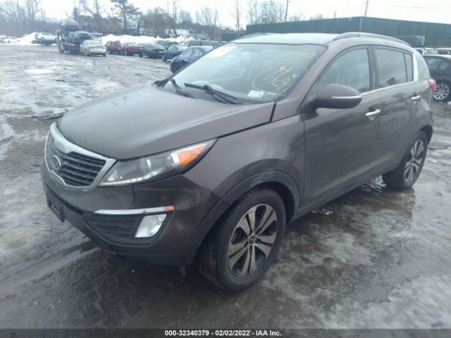 Photo 1 VIN: KNDPC3A24C7191585 - KIA SPORTAGE 