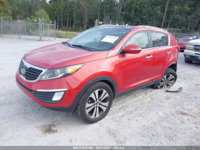 Photo 1 VIN: KNDPC3A24D7503096 - KIA SPORTAGE 