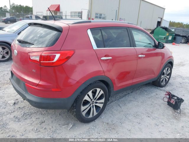 Photo 3 VIN: KNDPC3A24D7503096 - KIA SPORTAGE 