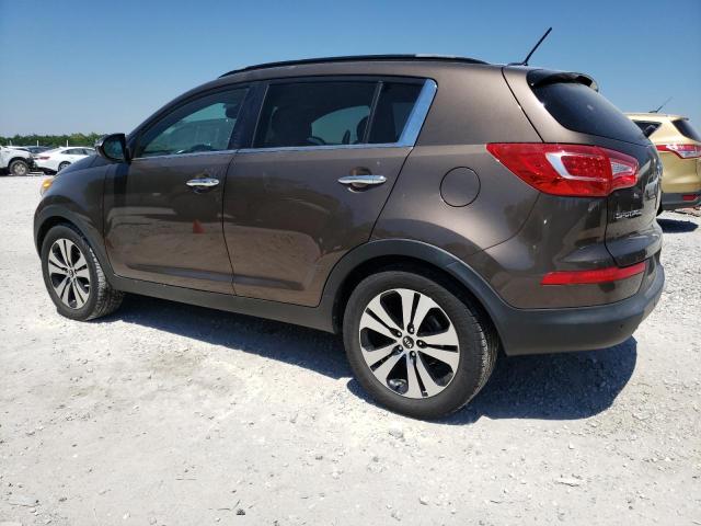 Photo 1 VIN: KNDPC3A25B7124248 - KIA SPORTAGE 