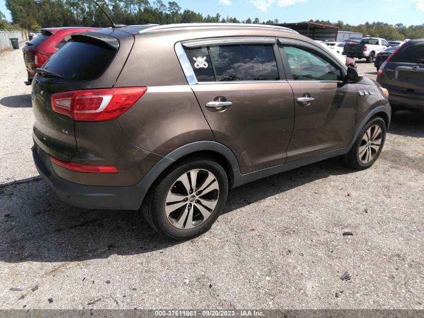 Photo 3 VIN: KNDPC3A29C7244801 - KIA SPORTAGE 