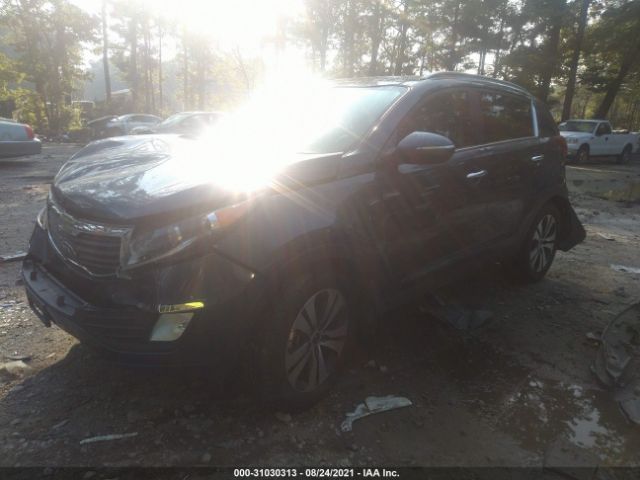 Photo 1 VIN: KNDPC3A2XD7515382 - KIA SPORTAGE 