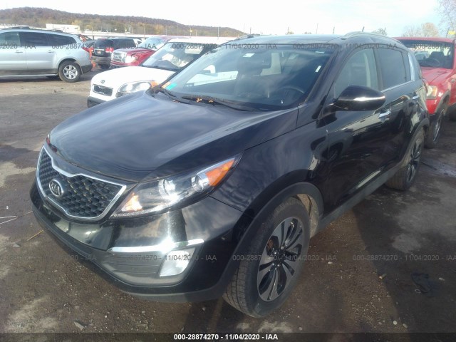 Photo 1 VIN: KNDPC3A63B7145117 - KIA SPORTAGE 