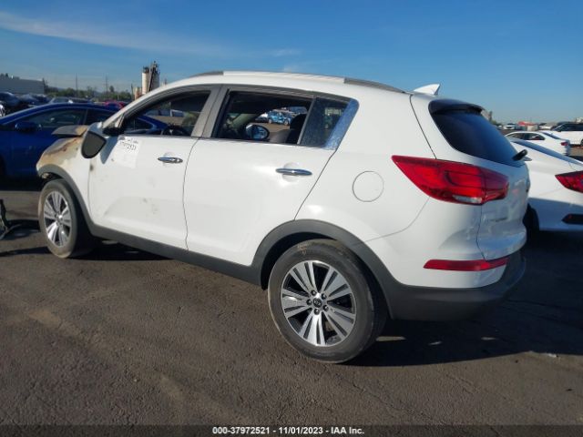 Photo 2 VIN: KNDPC3AC0E7576444 - KIA SPORTAGE 