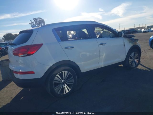 Photo 3 VIN: KNDPC3AC0E7576444 - KIA SPORTAGE 