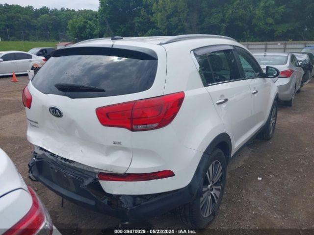 Photo 3 VIN: KNDPC3AC0G7845819 - KIA SPORTAGE 