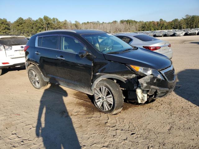 Photo 3 VIN: KNDPC3AC0G7869859 - KIA SPORTAGE 