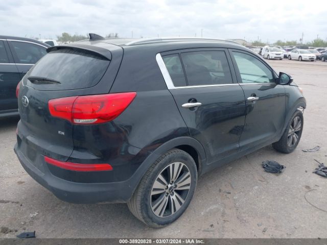 Photo 3 VIN: KNDPC3AC2G7869054 - KIA SPORTAGE 