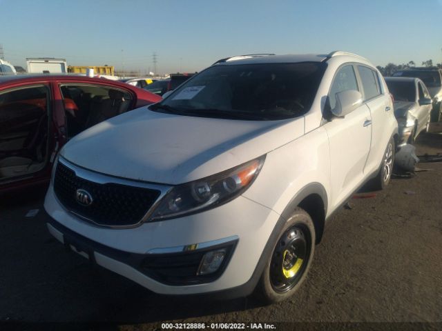 Photo 1 VIN: KNDPC3AC3F7716164 - KIA SPORTAGE 