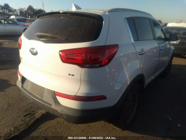 Photo 3 VIN: KNDPC3AC3F7716164 - KIA SPORTAGE 