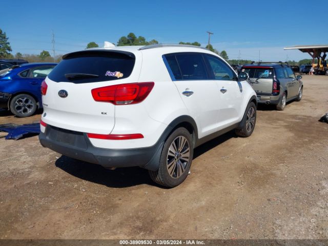 Photo 3 VIN: KNDPC3AC4E7578553 - KIA SPORTAGE 