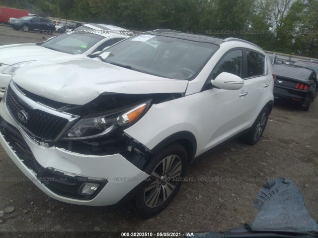 Photo 1 VIN: KNDPC3AC5F7771778 - KIA SPORTAGE 