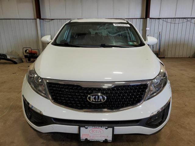 Photo 4 VIN: KNDPC3AC7G7815099 - KIA SPORTAGE 