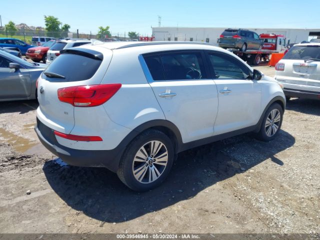 Photo 3 VIN: KNDPC3AC8F7695988 - KIA SPORTAGE 