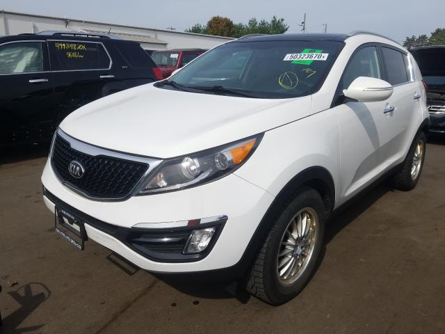 Photo 1 VIN: KNDPC3AC8G7805410 - KIA SPORTAGE 