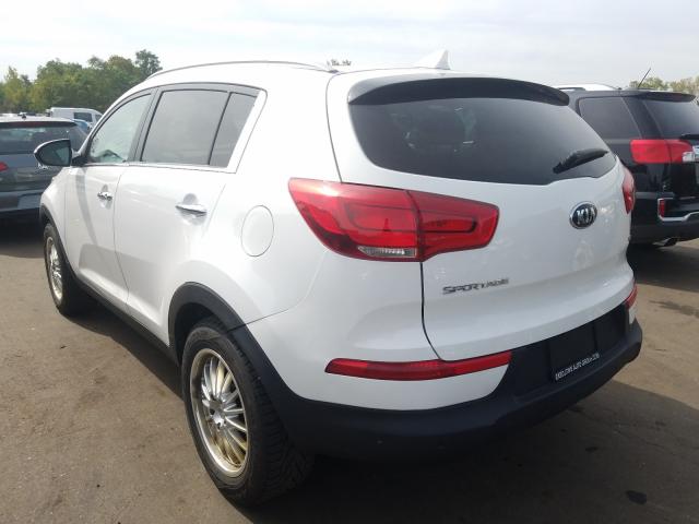 Photo 2 VIN: KNDPC3AC8G7805410 - KIA SPORTAGE 