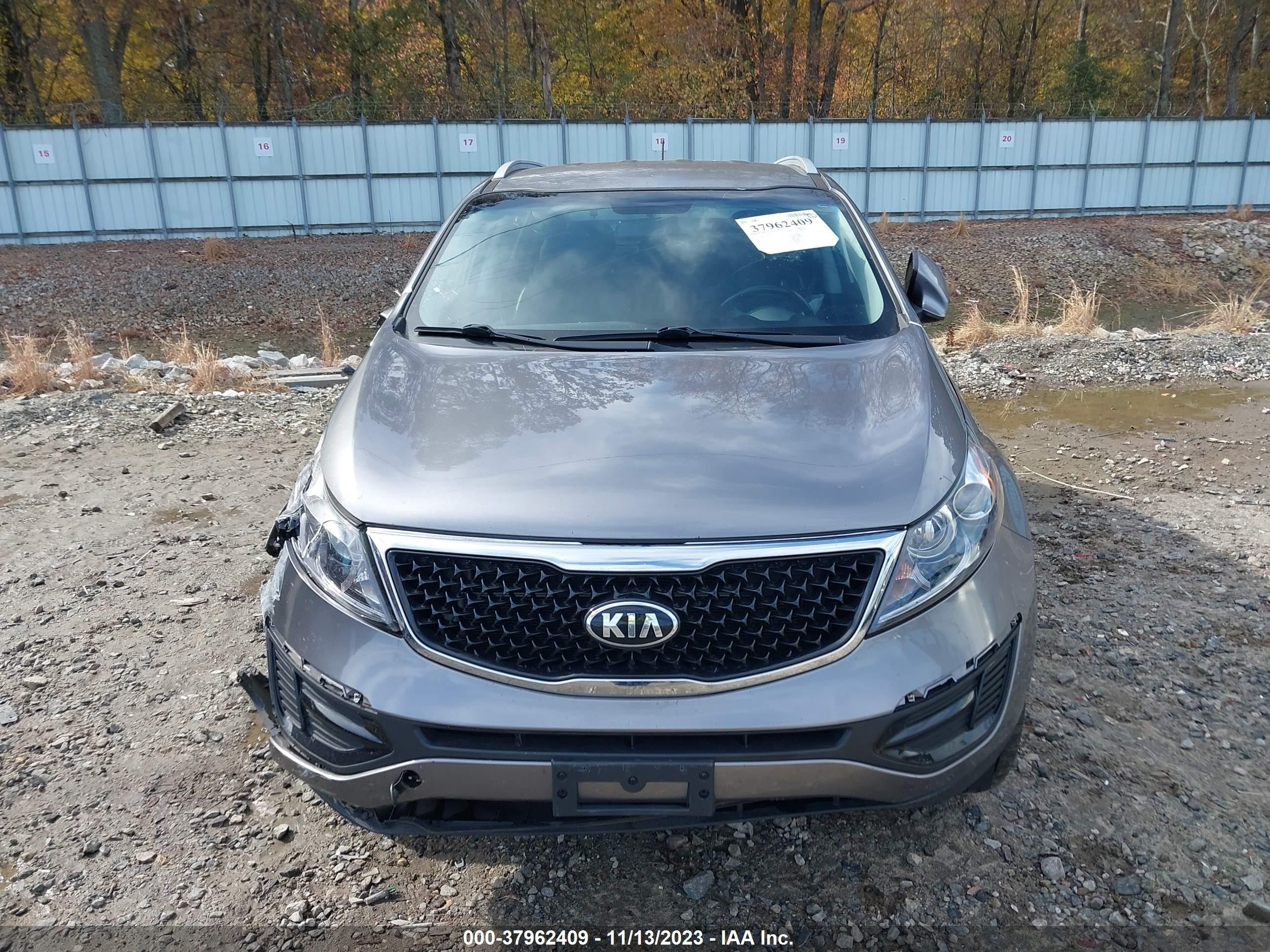 Photo 11 VIN: KNDPC3AC8G7874338 - KIA SPORTAGE 