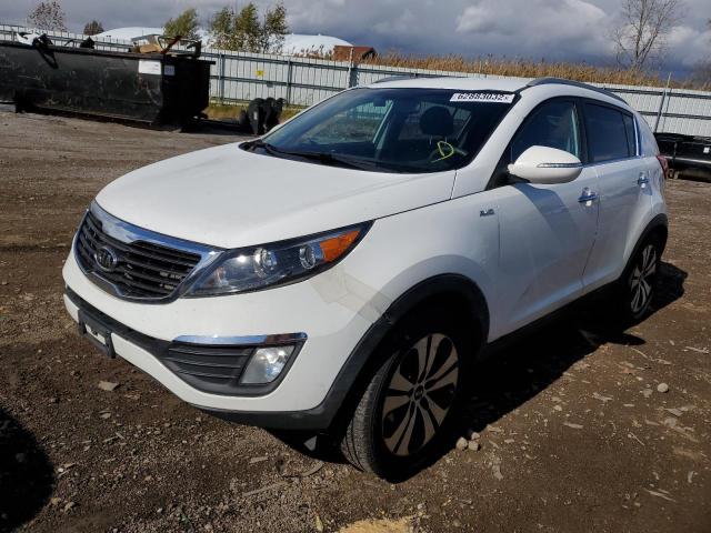 Photo 1 VIN: KNDPCCA21C7202266 - KIA SPORTAGE 