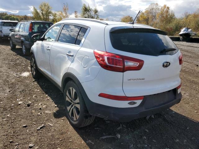 Photo 2 VIN: KNDPCCA21C7202266 - KIA SPORTAGE 