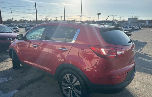 Photo 2 VIN: KNDPCCA24D7431011 - KIA SPORTAGE 