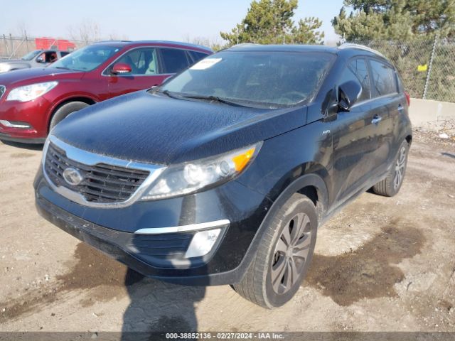 Photo 1 VIN: KNDPCCA27C7218326 - KIA SPORTAGE 