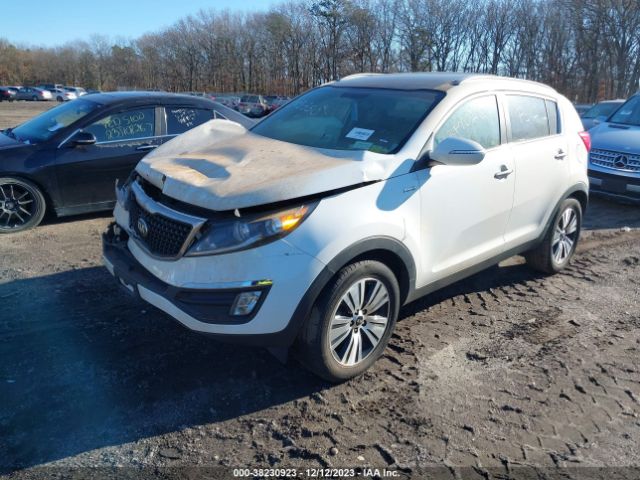 Photo 1 VIN: KNDPCCAC0F7699856 - KIA SPORTAGE 