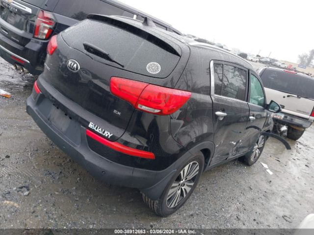 Photo 3 VIN: KNDPCCAC0F7758307 - KIA SPORTAGE 