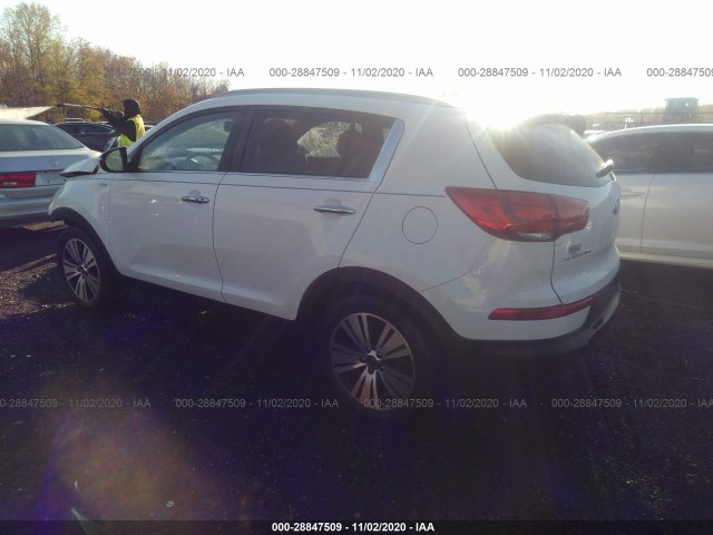 Photo 2 VIN: KNDPCCAC3G7808621 - KIA SPORTAGE 