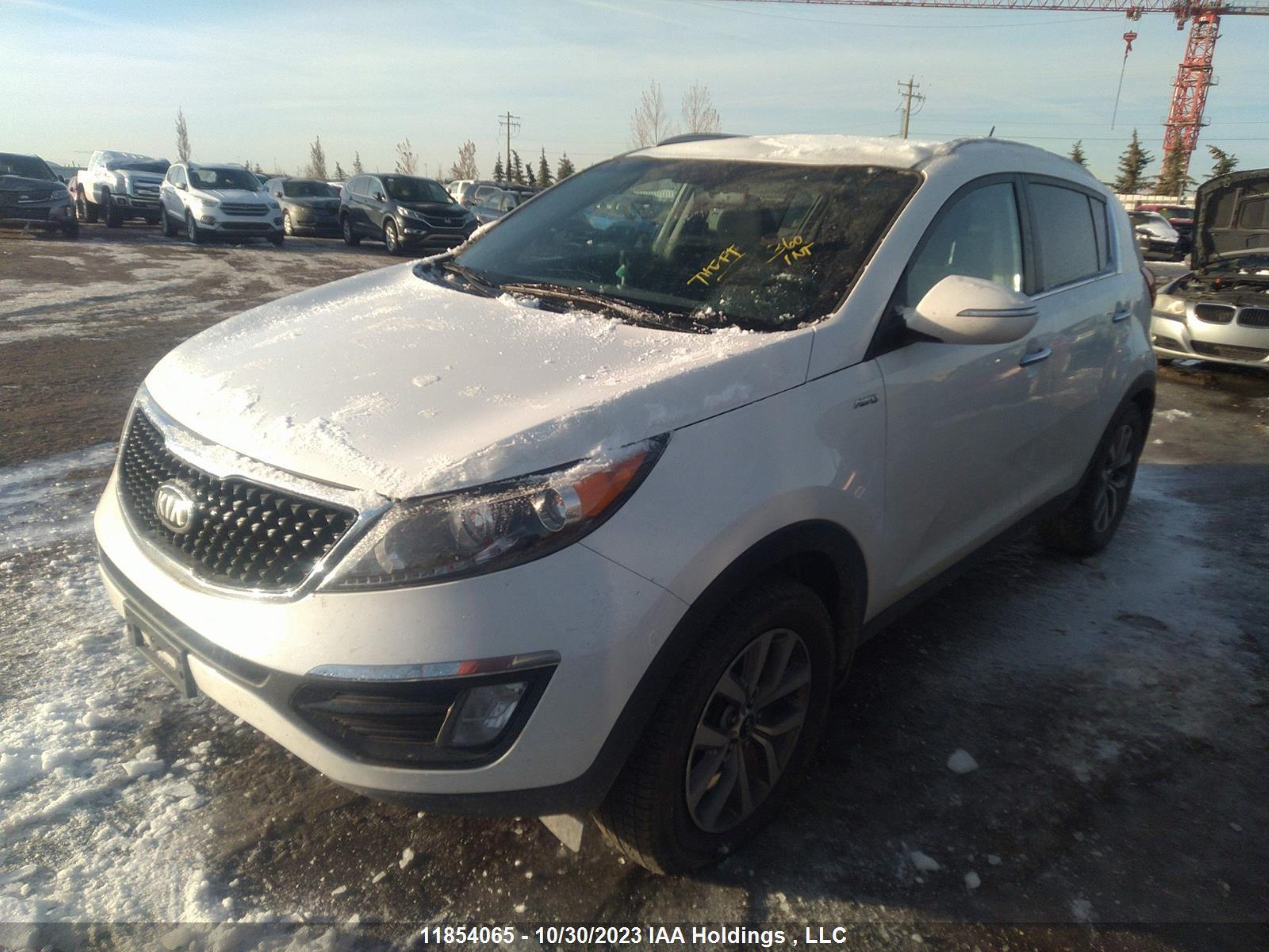 Photo 1 VIN: KNDPCCAC4E7590167 - KIA SPORTAGE 